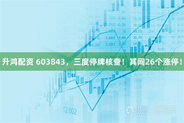 升鸿配资 603843，三度停牌核查！其间26个涨停！